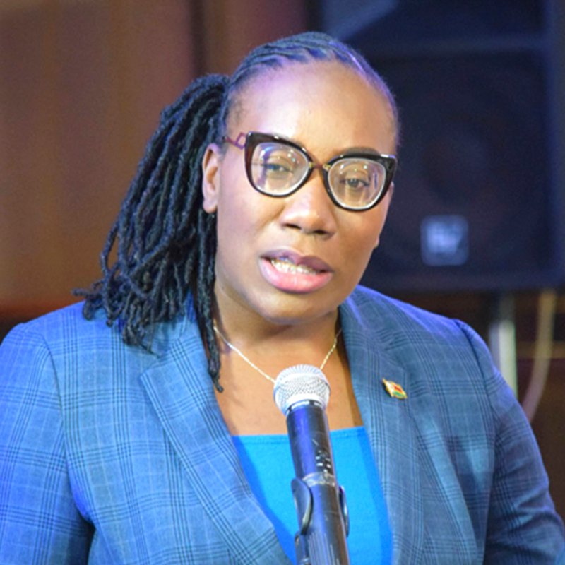 Hon Anastasia Ndhlovu