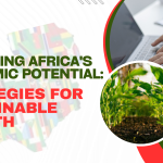 Unlocking Africa's Economic Potential Strategies for Sustainable Growth