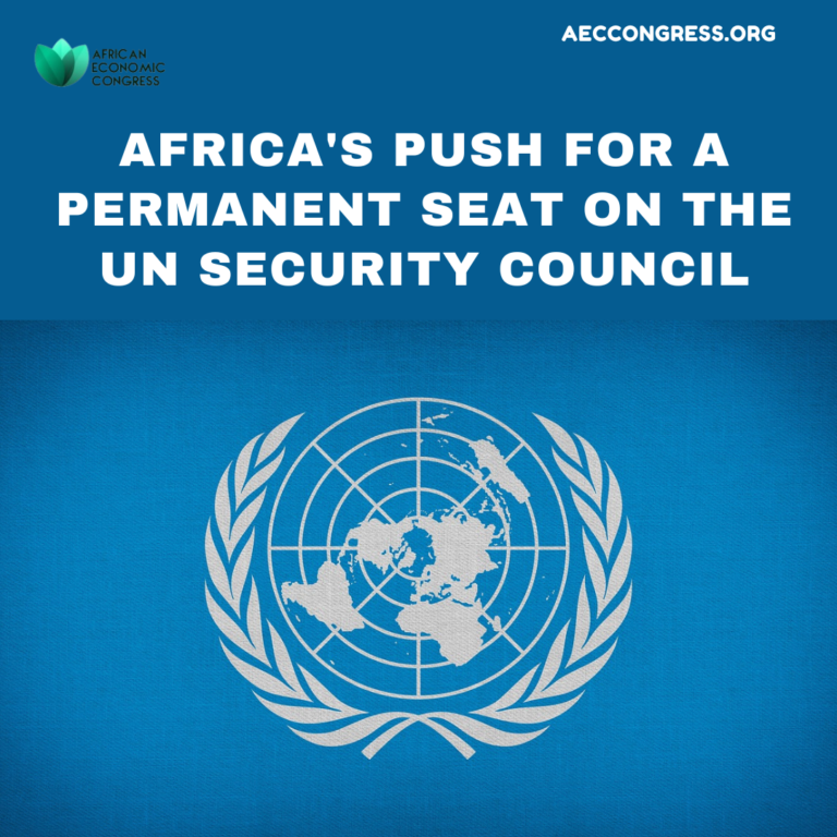 Africa's Push for a Permanent Seat on the UN Security Council